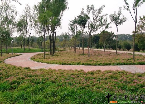 �����@·ֲ�ﾰ�^