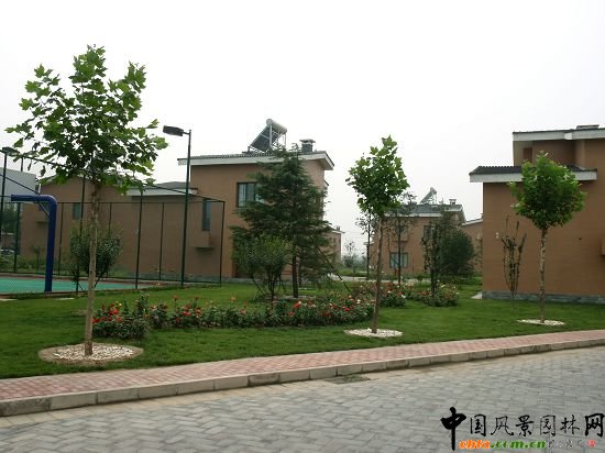 ��ͯ��@���ǰ�G��Ч���D