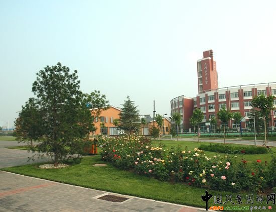 ��ͯ���V��Ч���D