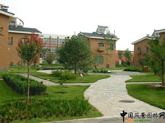 ��ͯ����gС�V��Ч���D