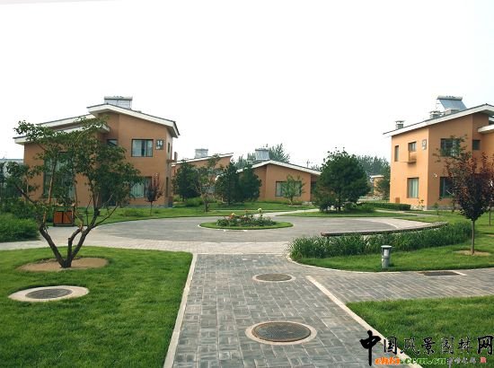 ��ͯ����gС�V��Ч���D