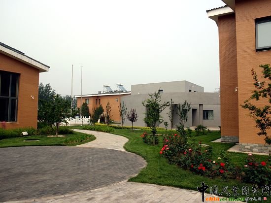 ��ͯ����g�@·Ч���D