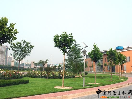 ��ͯ���е���Ч���D