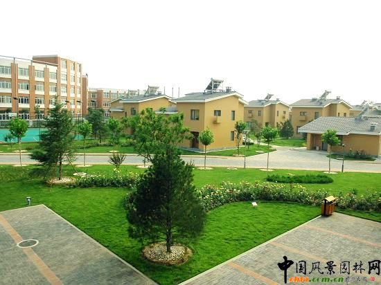 ��ͯ���B�Ч���D