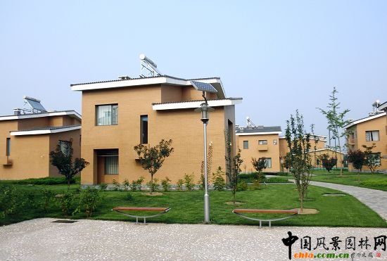 ��ͯ����ʯ��bЧ���D