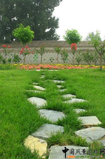 �����ӹ�����ͥԺ�G������