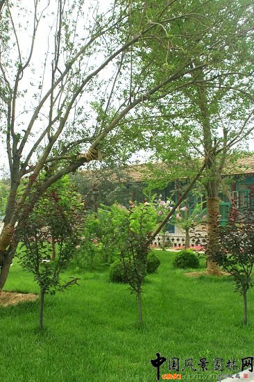 �����ӹ�����ͥԺ�G������