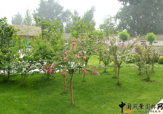 �����ӹ�����ͥԺ�G������