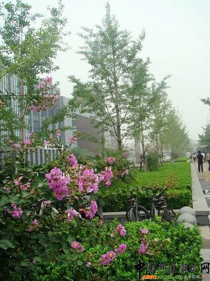 �ߴ���е��䣬�������Эh(hu��n)��