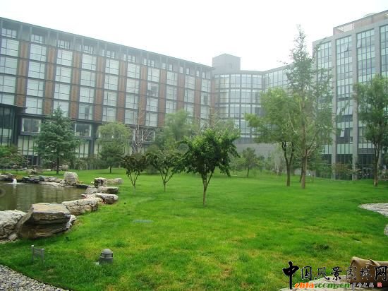 ����z�Ĳݣ����g������