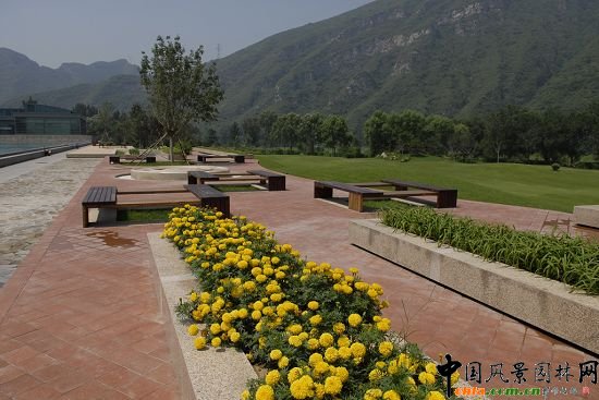 ��b�ɫ�cֲ��ݵء�ˮ�ؾo���ں�