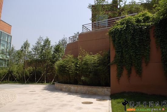 ������ľ�c����ֲ���c�Y�������≦