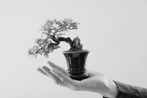 ���ݣ���������8����조��Ԋ���~���辰