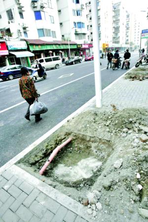 通湖路部分樹坑只有三十厘米，里面還有其他管線