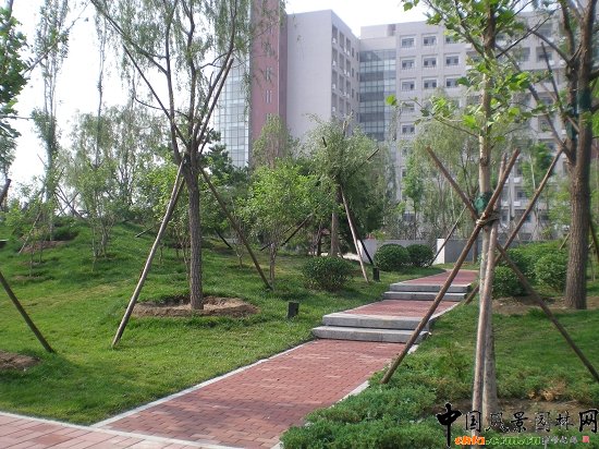 ���ľ��^�^