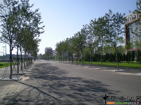 �μ���·�ɂ�(c��)