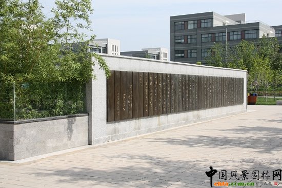 �̌W(xu��)�^(q��)