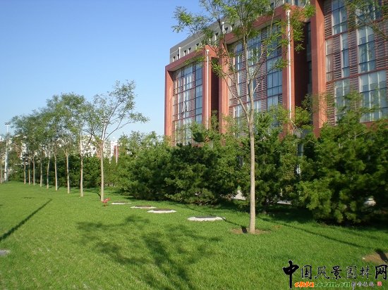 �̌W(xu��)�^(q��)