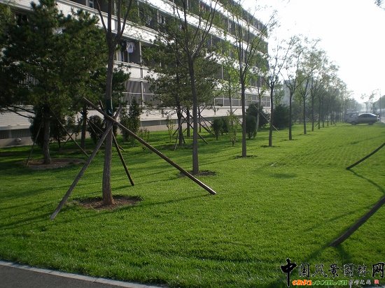 ���ľ��^�^(q��)