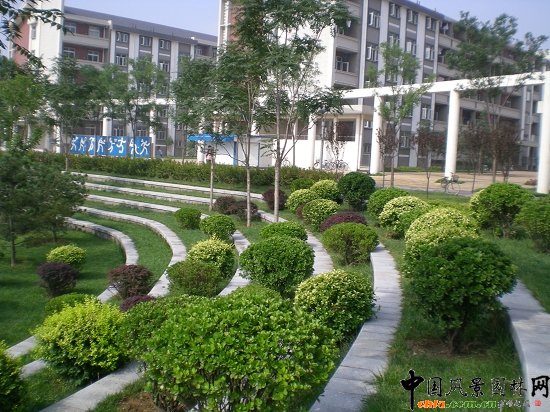 �\�ӈ���߅