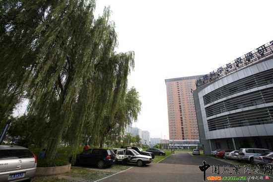 �����ƌW(xu��)�c�YԴ�о���