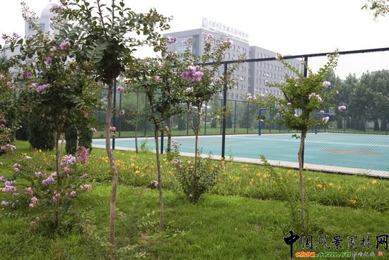 �����\��