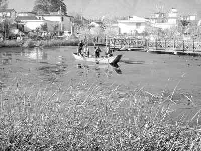 ����ʡ�����ݶ������o�����Ć�ʾ