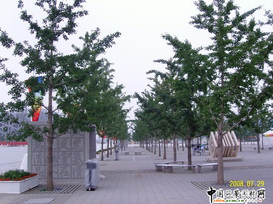 �����W��ƥ�˹��@���ą^���S��ꇹ���1�˶�