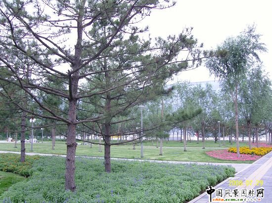 �����W��ƥ��ɭ�ֹ��@���ą^(q��)����R����G������