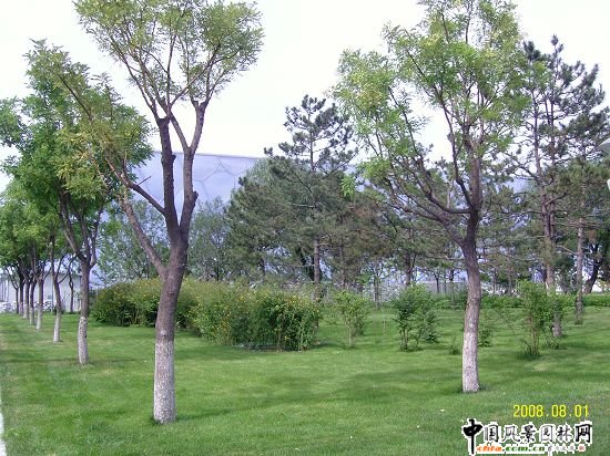 �����W��ƥ��ɭ�ֹ��@���ą^����R����G������