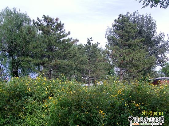 �����W��ƥ��ɭ�ֹ��@���ą^����R����G������