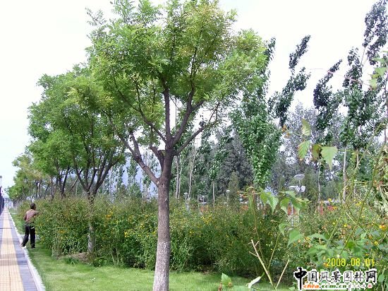 �����W��ƥ��ɭ�ֹ��@���ą^����R����G������