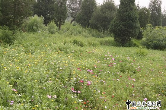 ������ɽɽ��܇ِ���G���h�����ι���