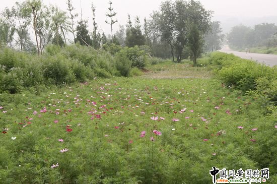 ������ɽɽ��܇ِ���G���h�����ι���