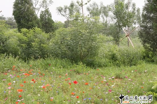 ������ɽɽ��܇ِ���G���h�����ι���