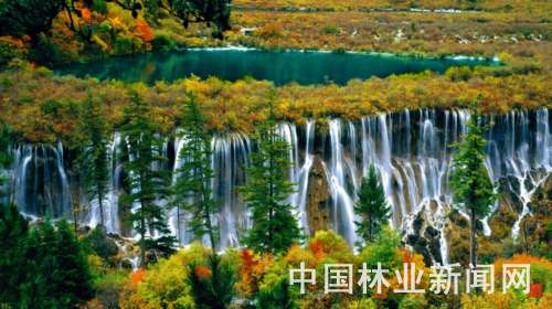 �҇���ر��o(h��)�I(y��)���ٰl(f��)չ(�D)������կ�χ��Ҽ���Ȼ���o(h��)�^(q��)