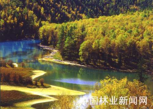 �҇���ر��o(h��)�I(y��)���ٰl(f��)չ(�D)�������d���X���