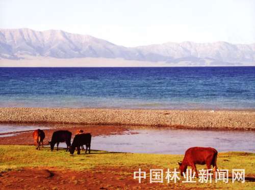 �҇���ر��o(h��)�I(y��)���ٰl(f��)չ(�D)�����½�ِ��ľ�����