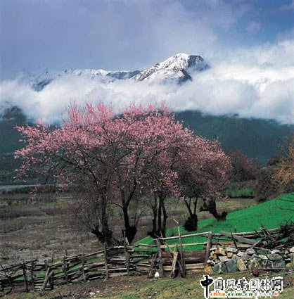 ���أ��Ї�(gu��)���[�ص��ߴ󾰅^(q��)(�M�D)����īÓ���������Ŀ�ж�����