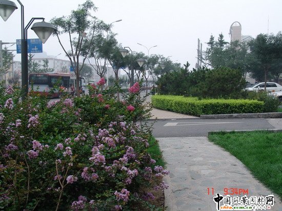 2008���(hu��)��Ʒ����֮ͨ����־��^����