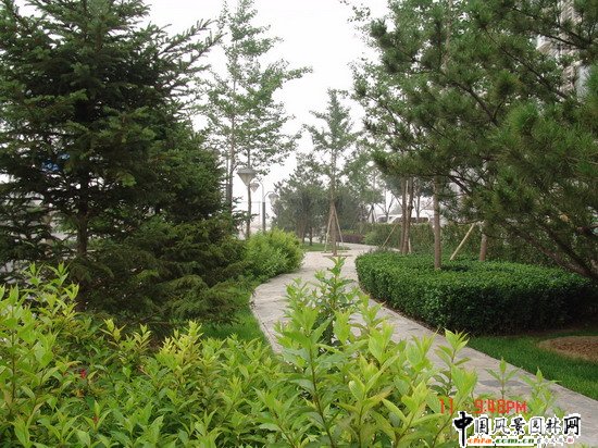 2008���(hu��)��Ʒ����֮ͨ����־��^����