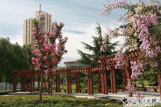 ���A���o���G������