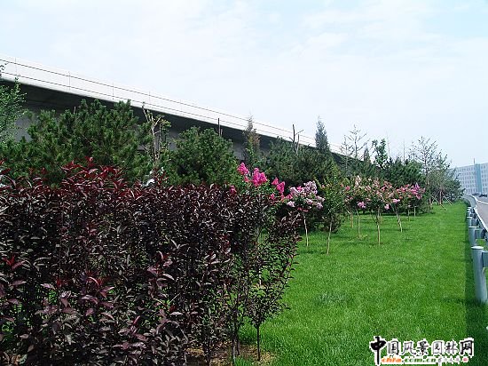 T3��վ�����Mվ������x���G�ؾG��