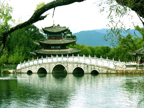 �����ڏV�ݳ� ������������