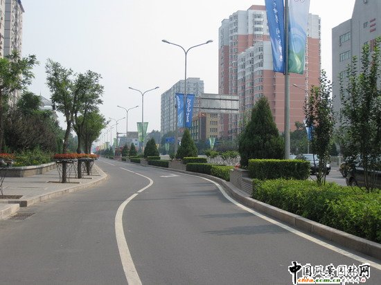 ��ꖅ^2007��W�\���^���s� ��ِ·�� ;��·���ؾ��ɂȭh�����ξG����ƽ��������Ƭ�|�ȸ��x������