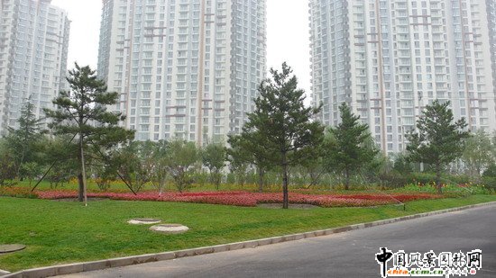 ��ꖅ^2007��W�\���^���s� ��ِ·�� ;��·���ؾ��ɂȭh�����ξG����ɽ�G����Ƭ