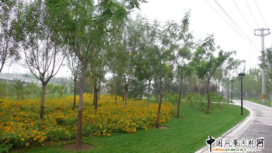 ��ꖅ^2007��W�\���^���s� ��ِ·�� ;��·���ؾ��ɂȭh�����ξG����ɽ�G����Ƭ (6)