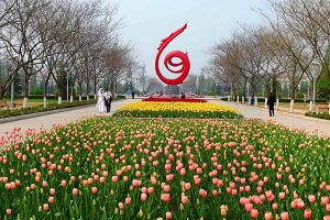 �ĸ��_���е��ꖈ@��