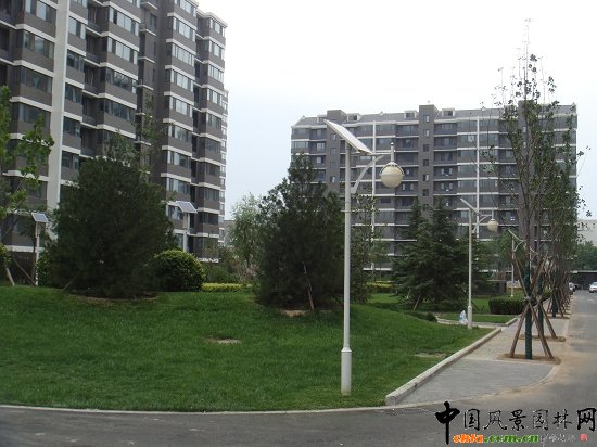 ̫���ͥԺ��