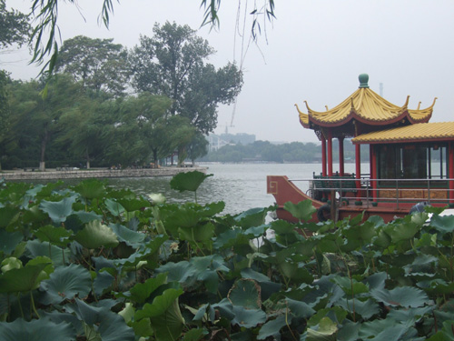 �������L(f��ng)��